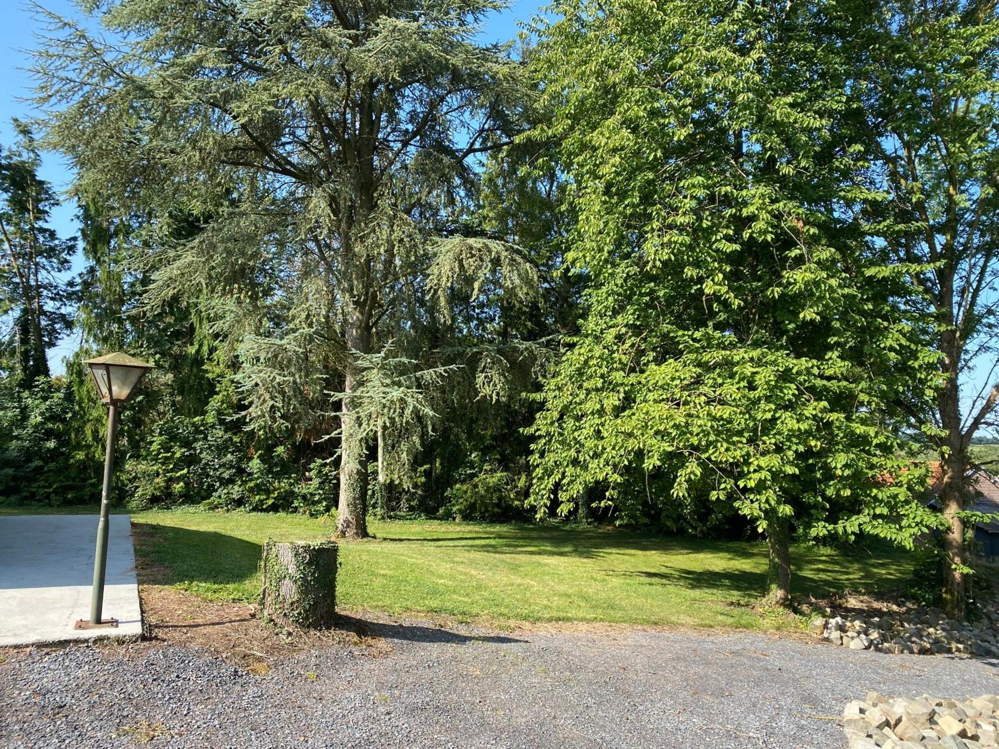 Au Cedre Bleu Villa Carnoy Exteriör bild