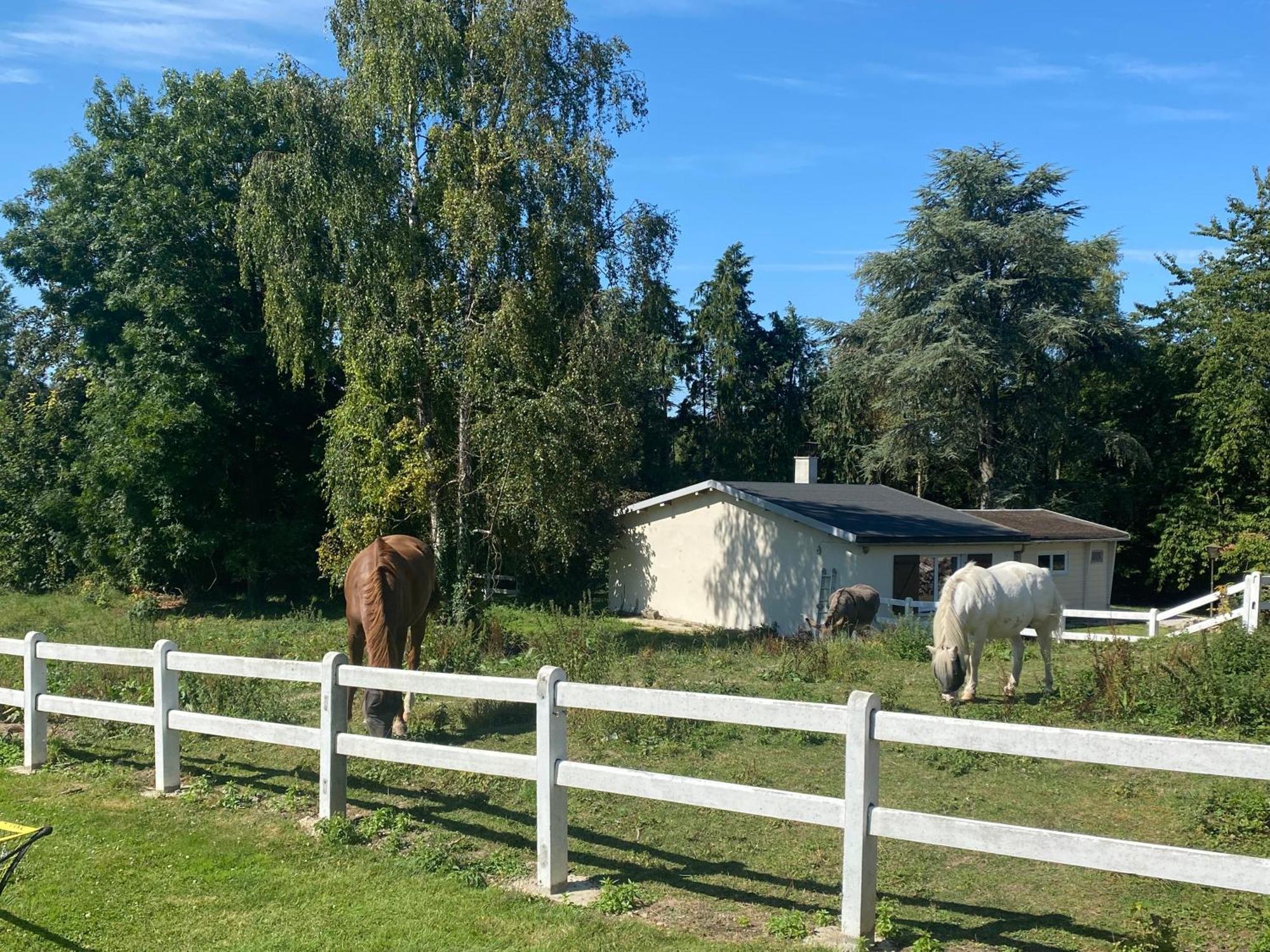 Au Cedre Bleu Villa Carnoy Exteriör bild